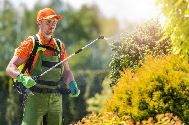 Lizard Pest Control Costs — Cost of Lizard Pest Control