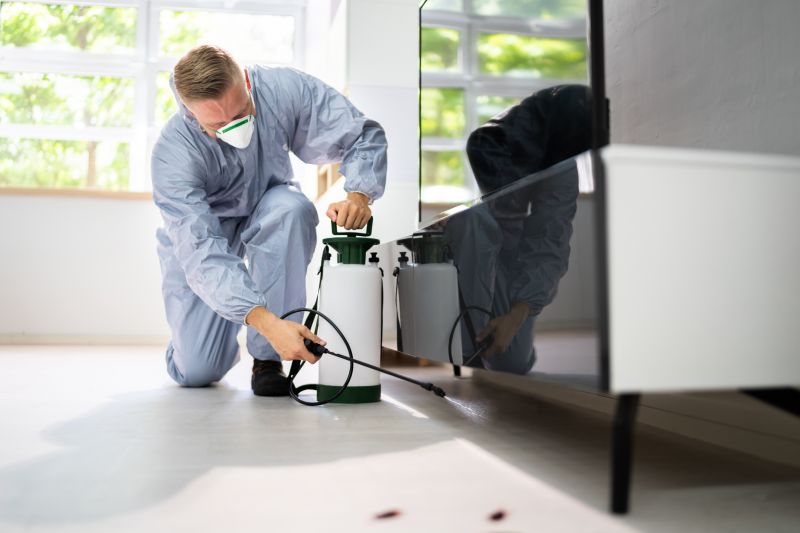 Lizard Pest Control Costs — Cost of Lizard Pest Control