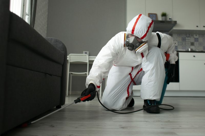 Lizard Pest Control Costs — Cost of Lizard Pest Control