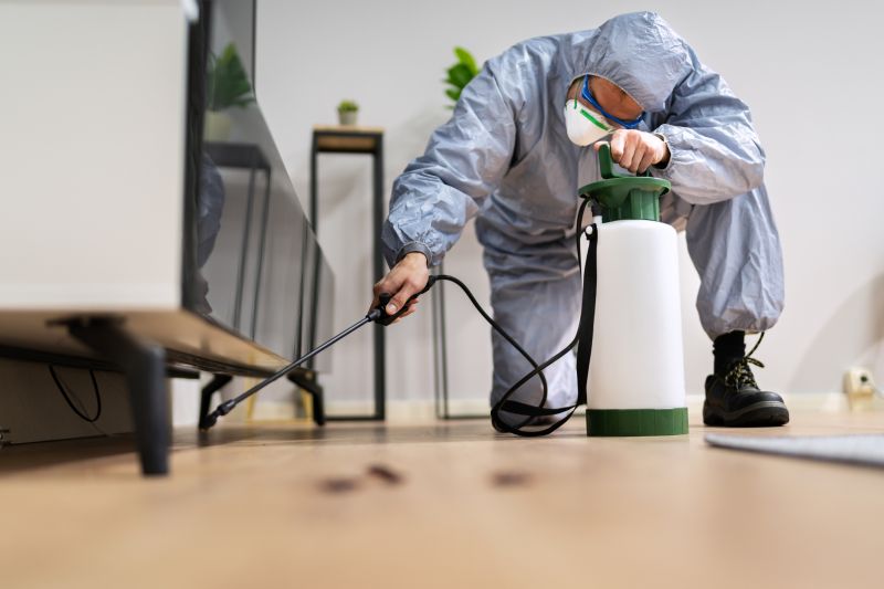 Lizard Pest Control Costs — Cost of Lizard Pest Control