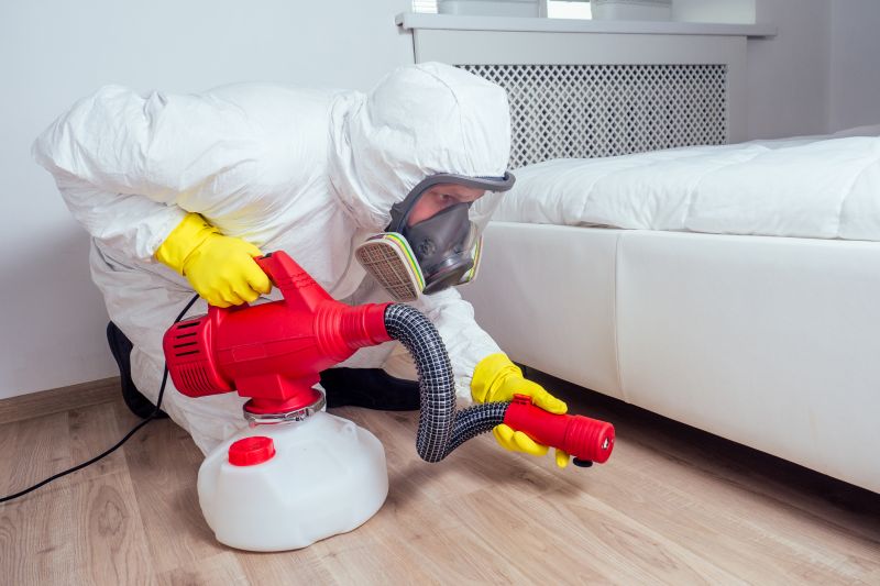 Lizard Pest Control Costs — Cost of Lizard Pest Control