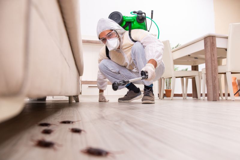 Commercial Pest Control Experts
